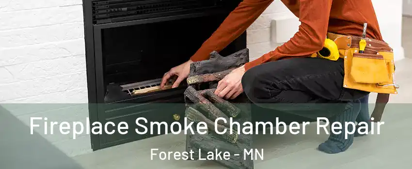  Fireplace Smoke Chamber Repair Forest Lake - MN