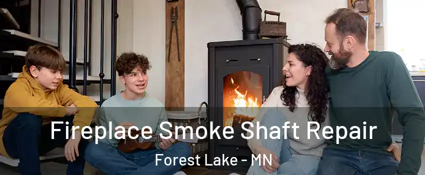  Fireplace Smoke Shaft Repair Forest Lake - MN