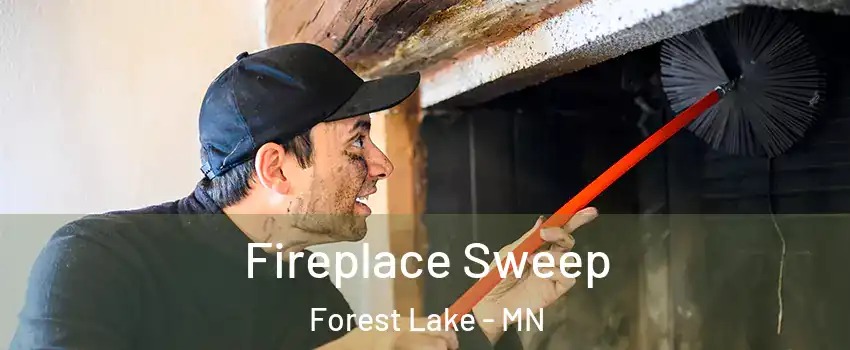  Fireplace Sweep Forest Lake - MN