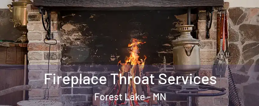  Fireplace Throat Services Forest Lake - MN