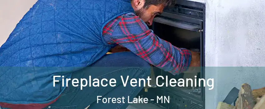  Fireplace Vent Cleaning Forest Lake - MN