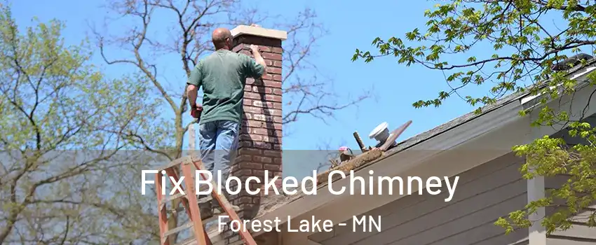  Fix Blocked Chimney Forest Lake - MN