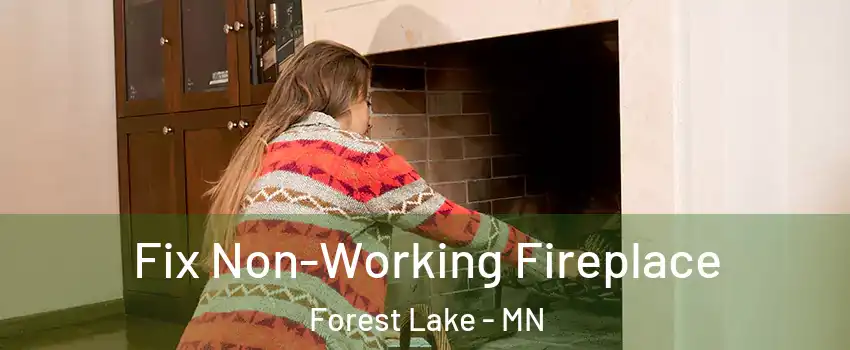  Fix Non-Working Fireplace Forest Lake - MN