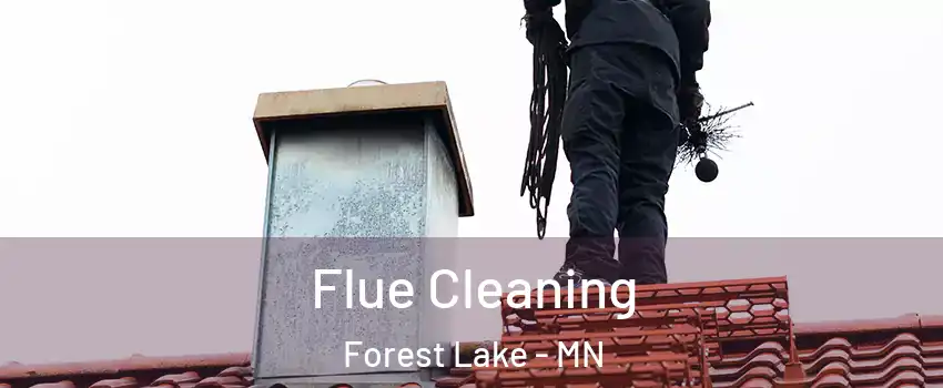  Flue Cleaning Forest Lake - MN