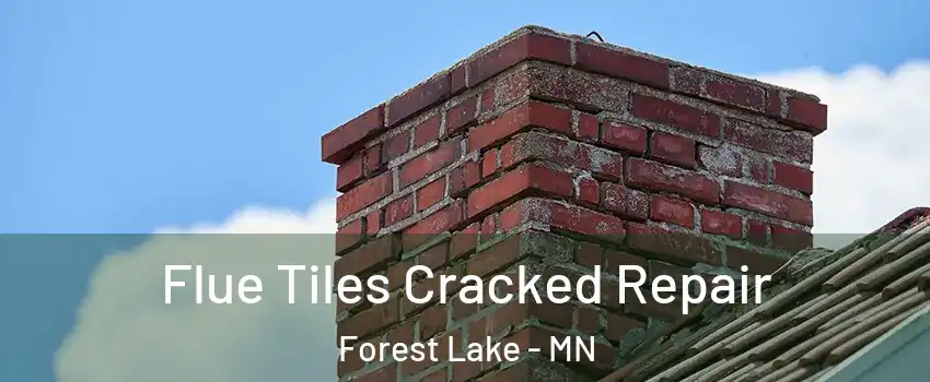  Flue Tiles Cracked Repair Forest Lake - MN