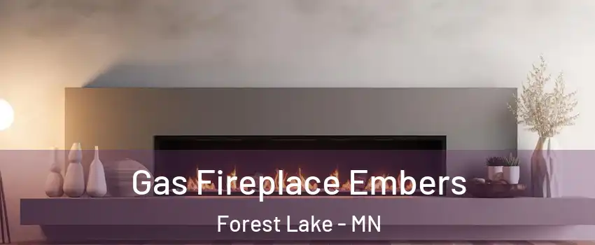  Gas Fireplace Embers Forest Lake - MN