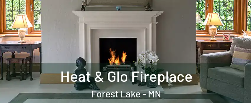  Heat & Glo Fireplace Forest Lake - MN