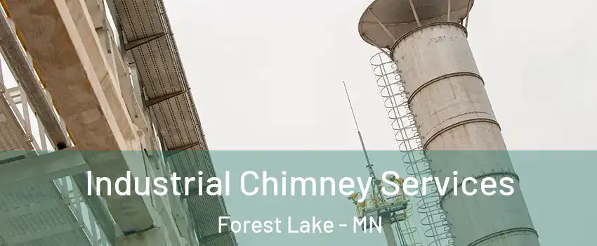  Industrial Chimney Services Forest Lake - MN