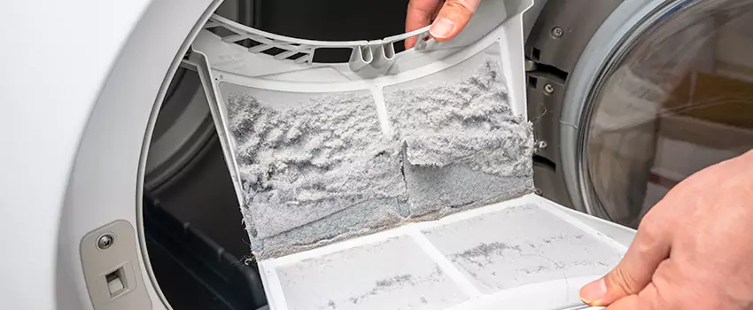 Best Dryer Lint Removal Company in Forest Lake, Minnesota