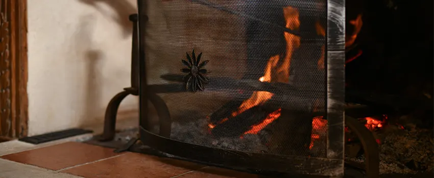 Electric Metal Fireplace installation Services in Forest Lake, MN