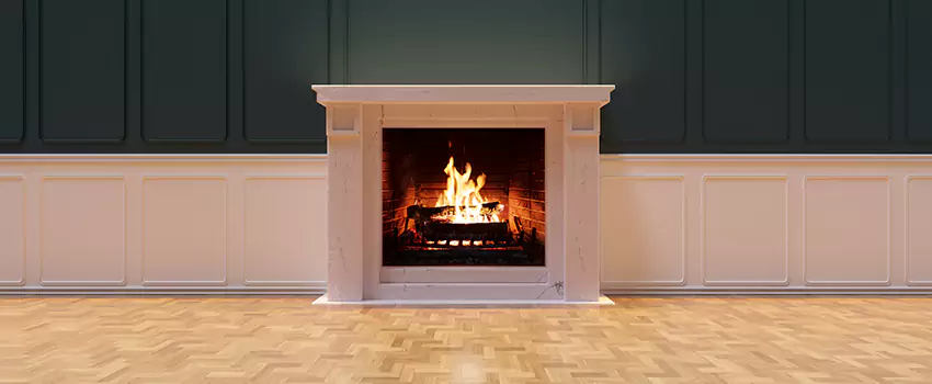 Napoleon Electric Fireplaces Inspection Service in Forest Lake, Minnesota