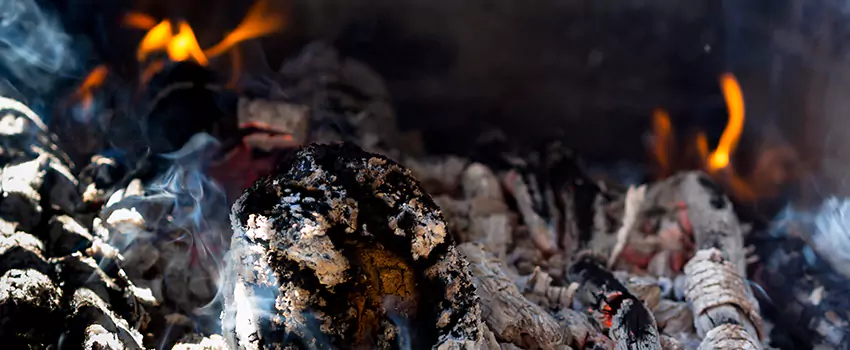 Creosote Removal Experts in Forest Lake, MN