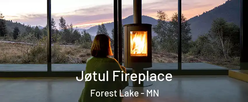  Jøtul Fireplace Forest Lake - MN