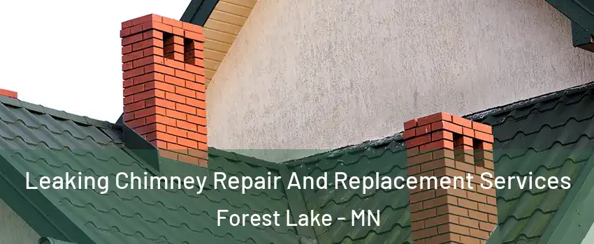 Leaking Chimney Repair And Replacement Services Forest Lake - MN