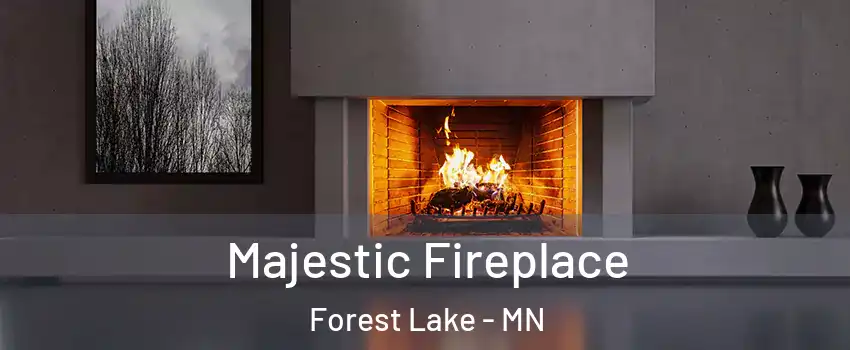  Majestic Fireplace Forest Lake - MN
