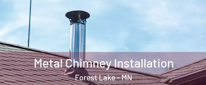  Metal Chimney Installation Forest Lake - MN