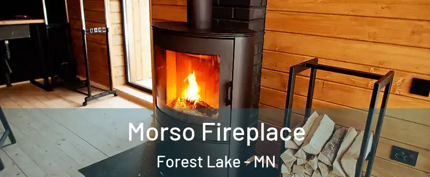  Morso Fireplace Forest Lake - MN