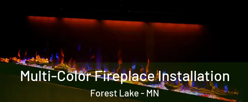  Multi-Color Fireplace Installation Forest Lake - MN