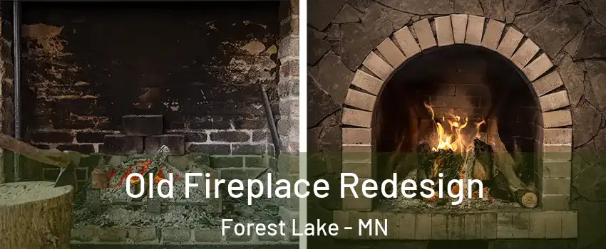  Old Fireplace Redesign Forest Lake - MN
