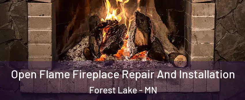  Open Flame Fireplace Repair And Installation Forest Lake - MN