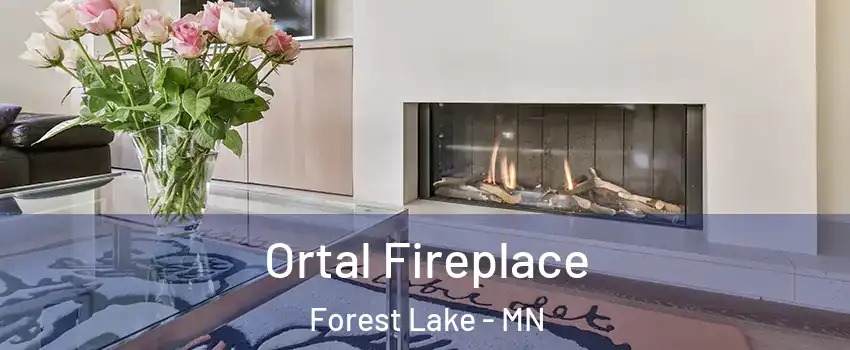  Ortal Fireplace Forest Lake - MN