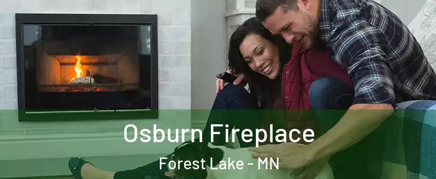  Osburn Fireplace Forest Lake - MN