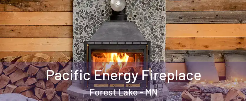  Pacific Energy Fireplace Forest Lake - MN