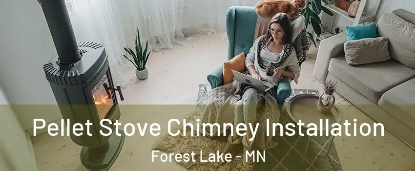  Pellet Stove Chimney Installation Forest Lake - MN