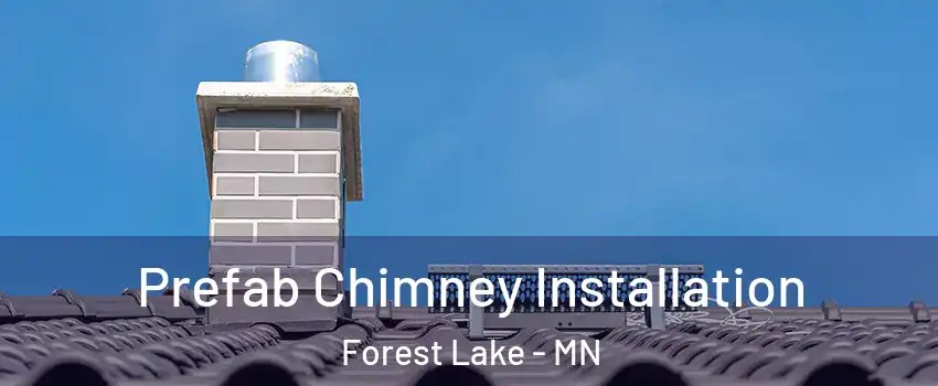  Prefab Chimney Installation Forest Lake - MN
