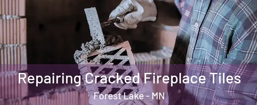  Repairing Cracked Fireplace Tiles Forest Lake - MN