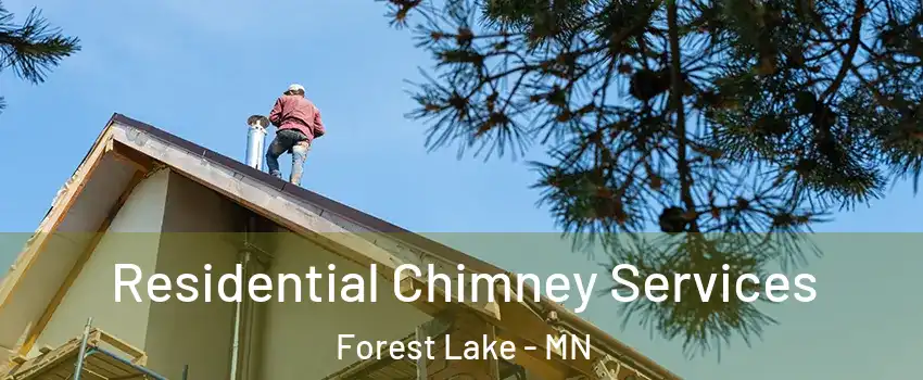  Residential Chimney Services Forest Lake - MN
