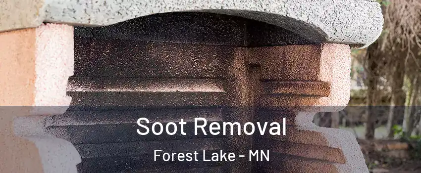 Soot Removal Forest Lake - MN