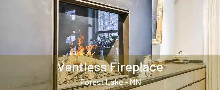  Ventless Fireplace Forest Lake - MN