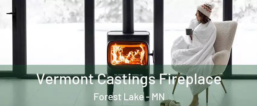  Vermont Castings Fireplace Forest Lake - MN