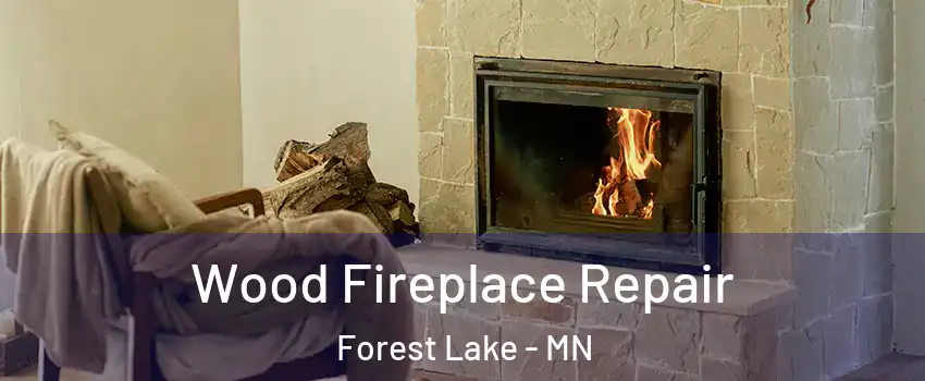  Wood Fireplace Repair Forest Lake - MN