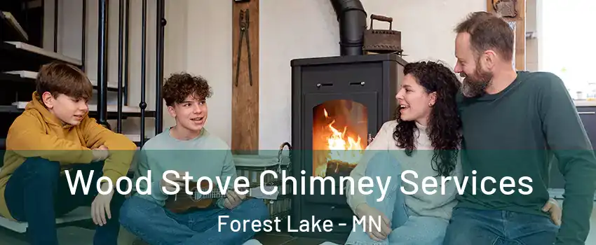  Wood Stove Chimney Services Forest Lake - MN