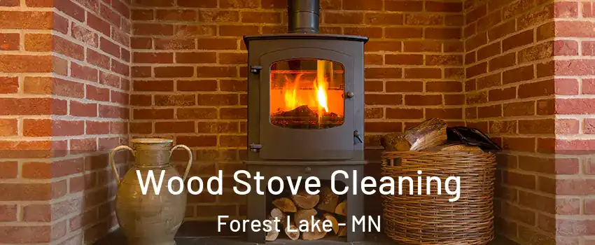  Wood Stove Cleaning Forest Lake - MN