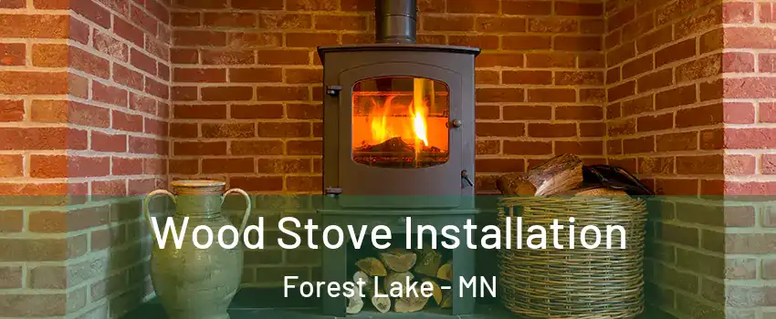  Wood Stove Installation Forest Lake - MN